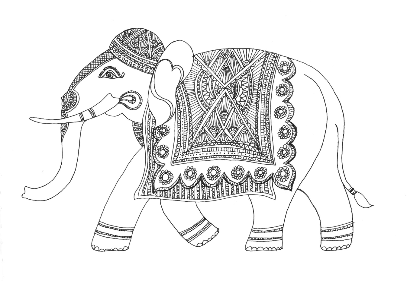 sketch of an elephant sketch of an elephant