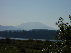 Mount St. Helen's with Silver Lake at the base.