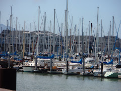 Sailboats at Fisherman's Wharf