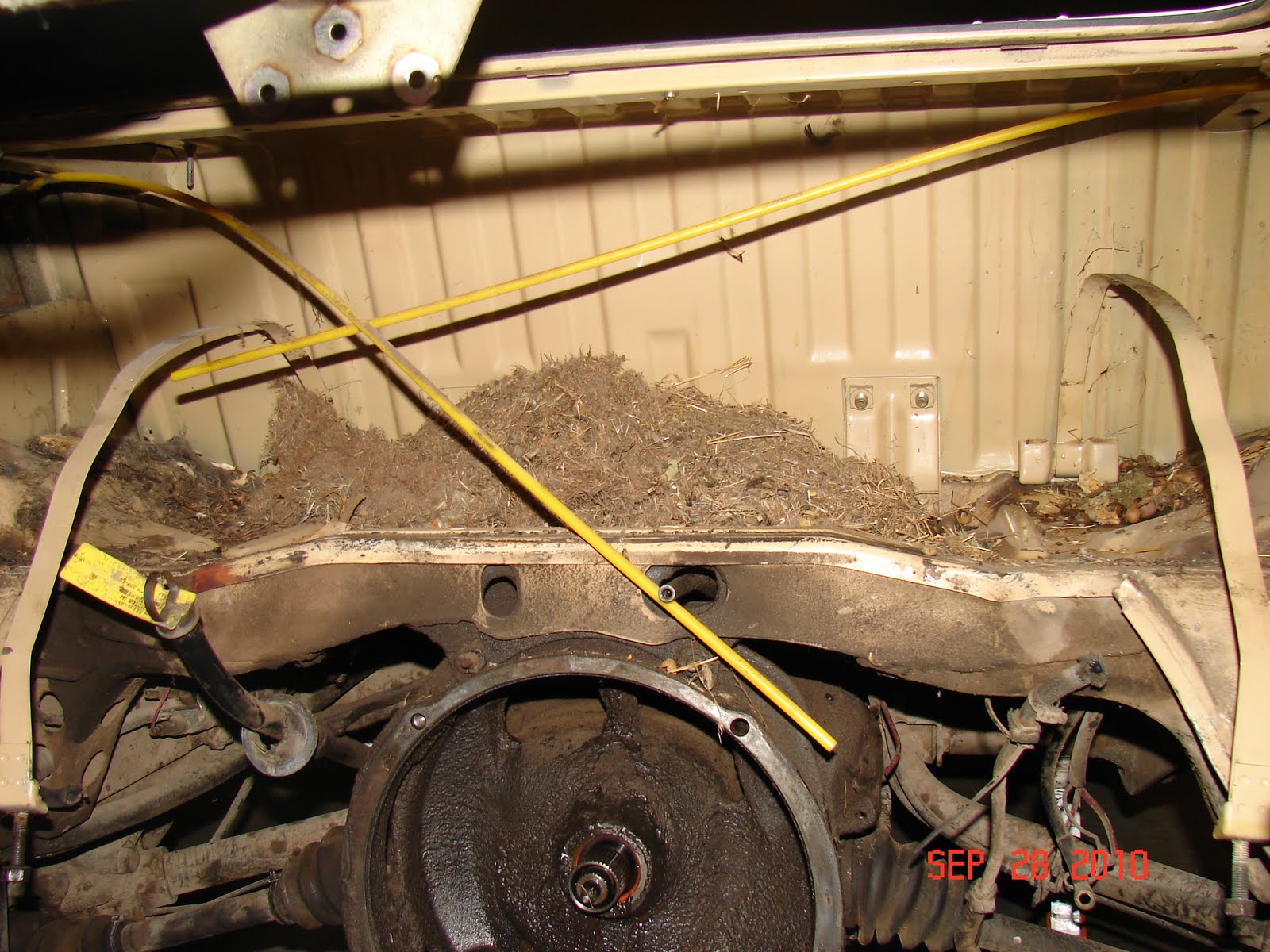 1979 VW Westfalia Campmobile Deluxe Fuel Tank Restore