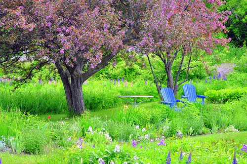 JPG Photo Challenge-Your Backyard JPG Photo Challenge-Your Backyard
