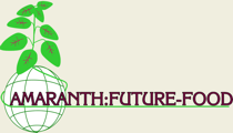 Amaranth Future Food