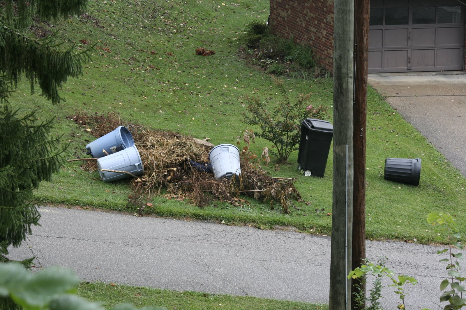 Half Broke Horses: A True-Life Novel:.