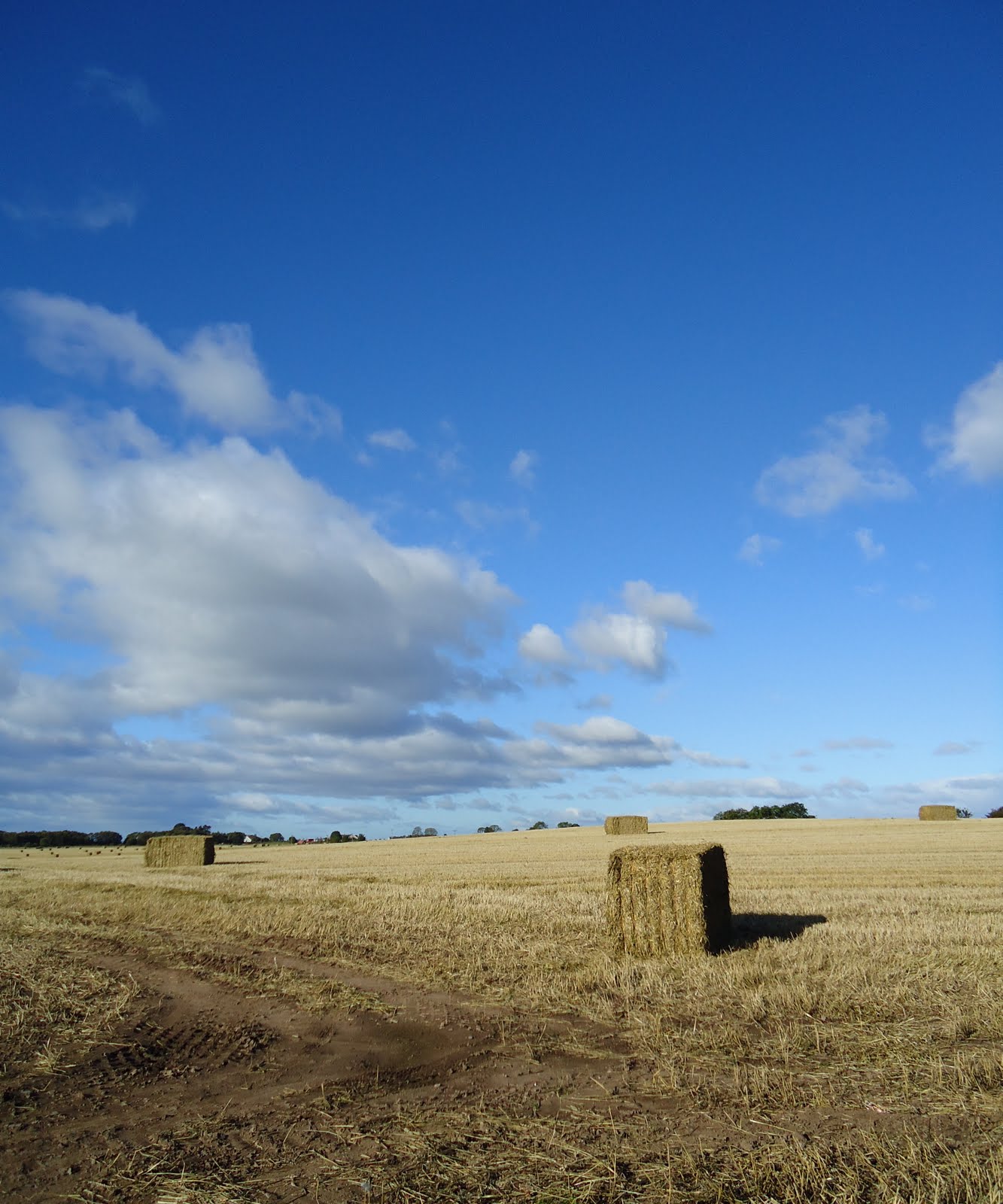 Tour Perth Scotland Tour Balbeggie Hay Bales Perth Scotland
