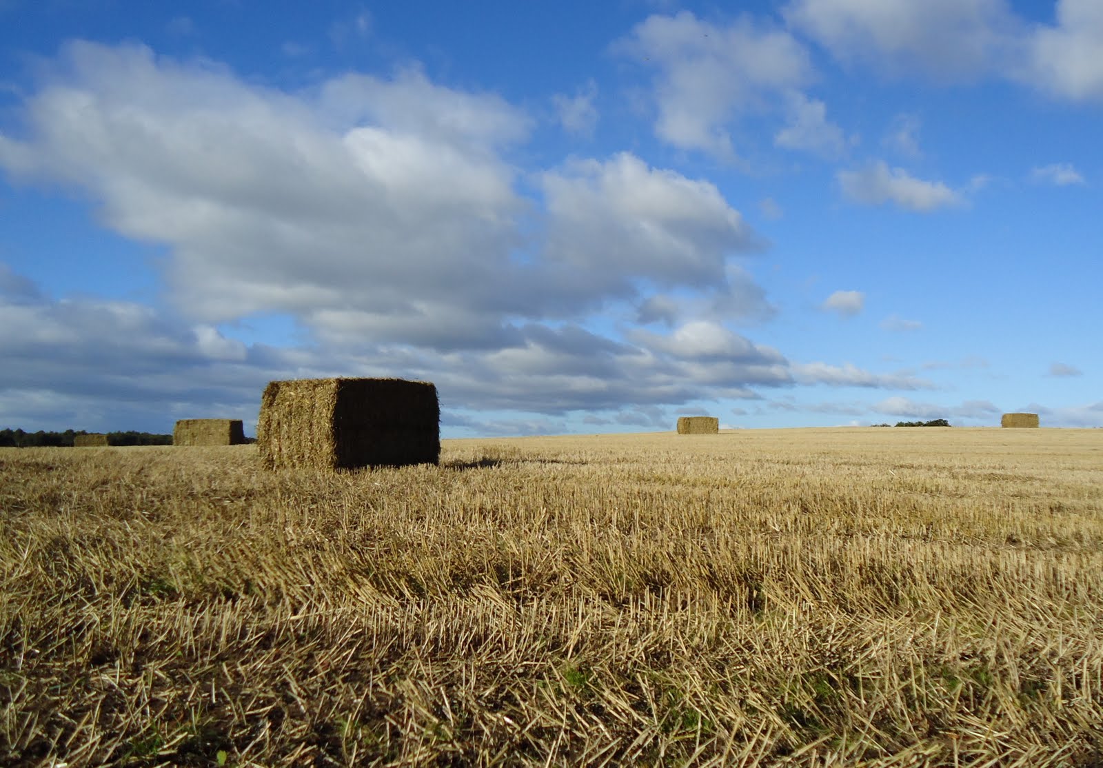 Tour Perth Scotland Tour Balbeggie Hay Bales Perth Scotland