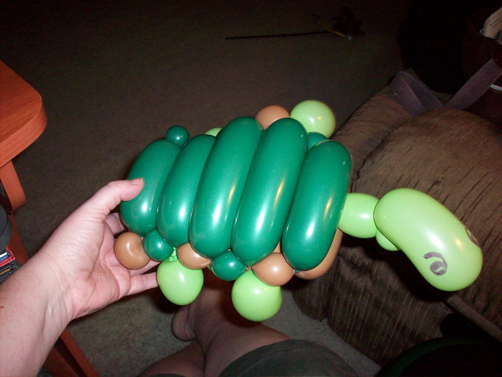[hometurtle]