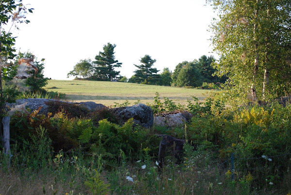 Out back in the fields ...