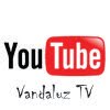 Vandaluz TV