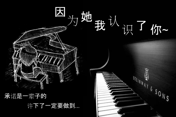 ☆ 我和小钻★の世界