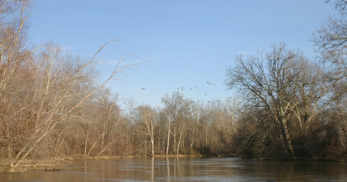 Tennessee's Scenic Hatchie River