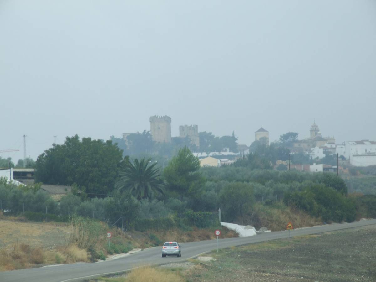 [montemayor1.jpg]