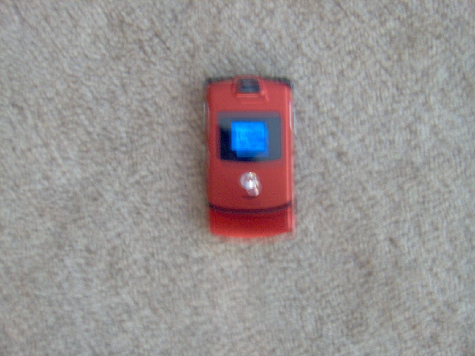[IM000497.JPG]