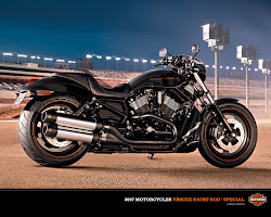 Harley Davidson Gratis 100%