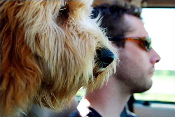 Southwest Dog Friendly Southwest Dog Friendly