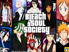 Bleach Soul Society