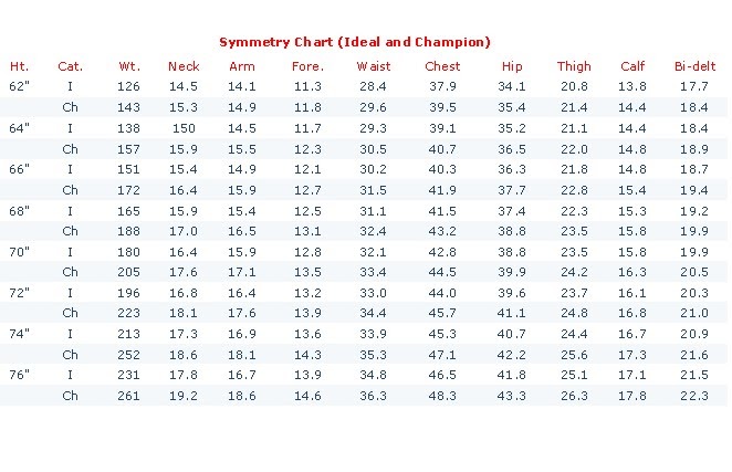 Bodybuilding Body Measurement Chart