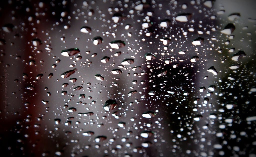 raindrop photos raindrop photos