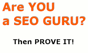 SEO Guru Delhi NCR India US USA UK