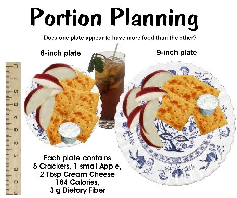 [portionplate04.jpg]