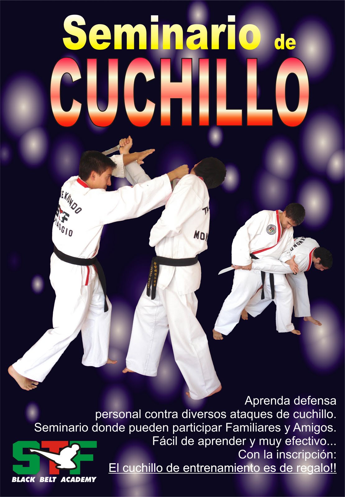 SEMINARIO 7,8 ó 9 de Octubre