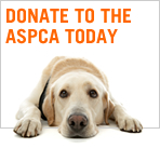 ASPCA