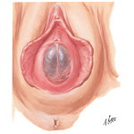 gambar oleh en. google