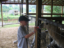 Feeding the lamas at Hollywild