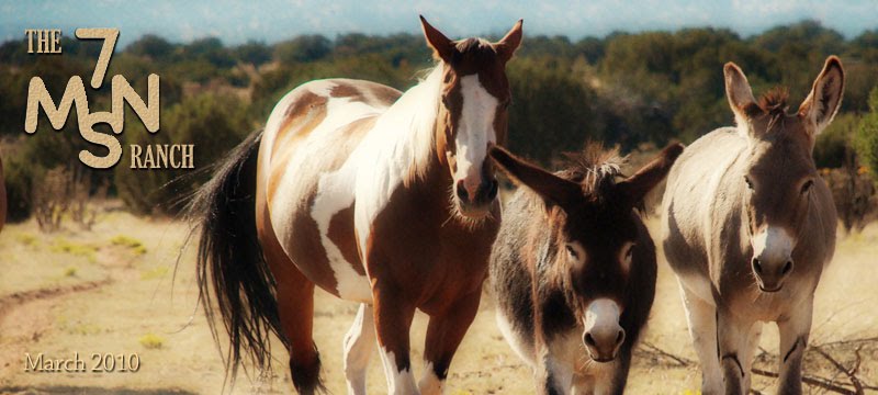 The 7MSN Ranch
