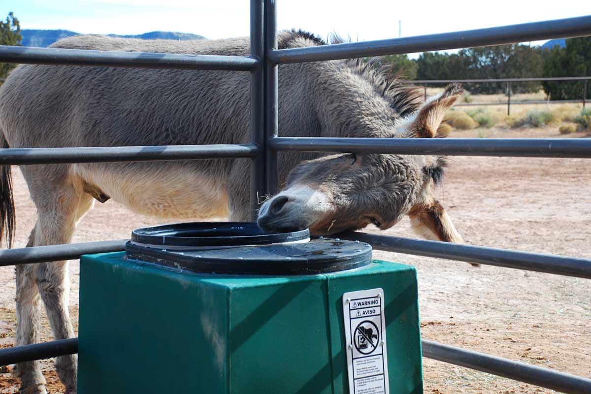 The 7MSN Ranch Solarheated Water Trough product review