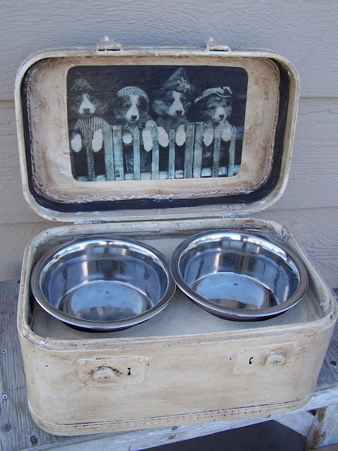 dog bowls