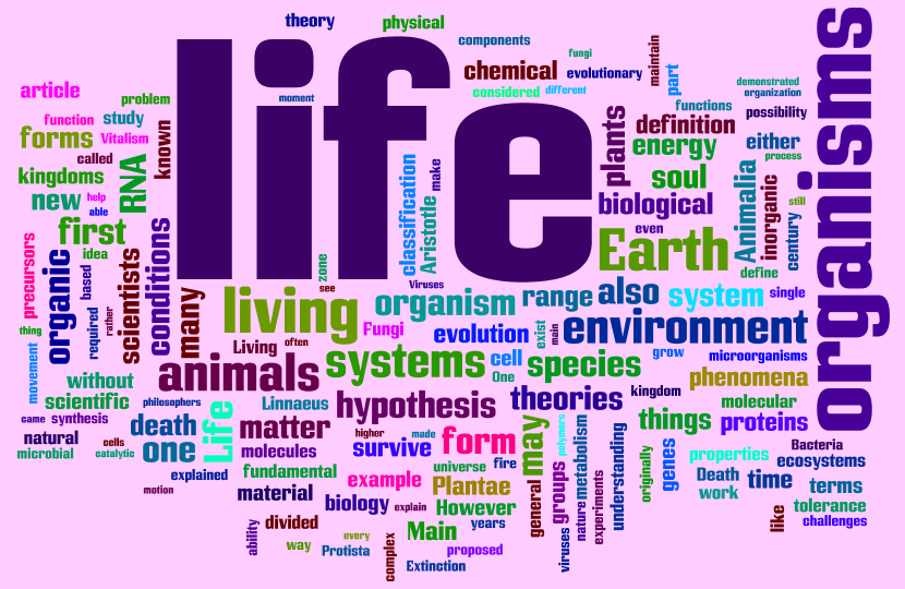 Random Wordles
