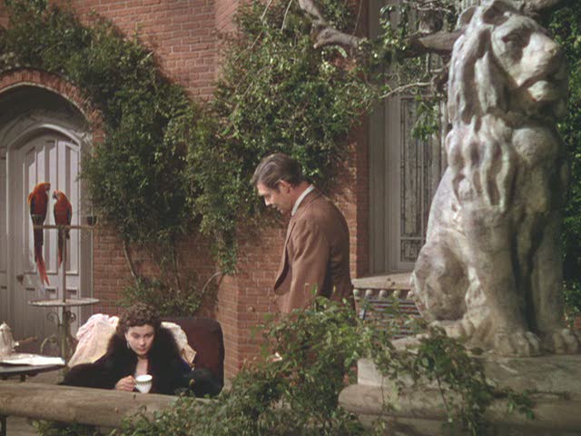 [atlanta-ext-back-parrots.jpg]