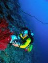 Fantastic Underwater-World in Bali
