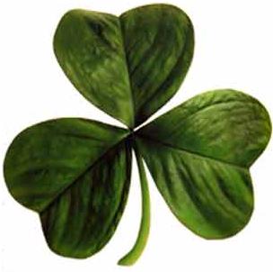 Shamrock o Trébol de tres hojas