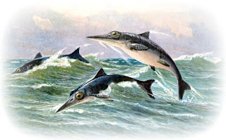 Ichthyosaurs