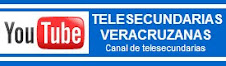 PROGRAMAS DE TELESECUNDARIA