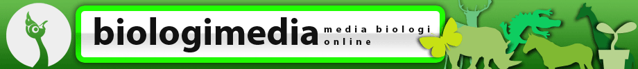 biologimedia