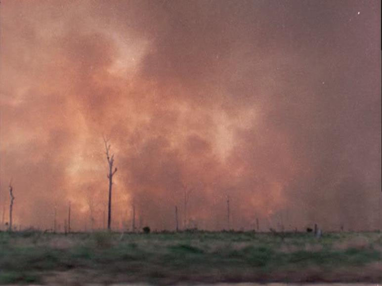 [IRACEMA-4.jpg]
