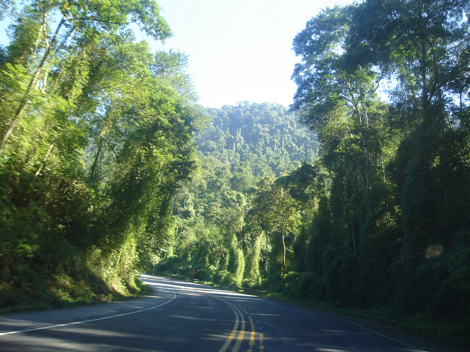 [DSC07535.JPG]