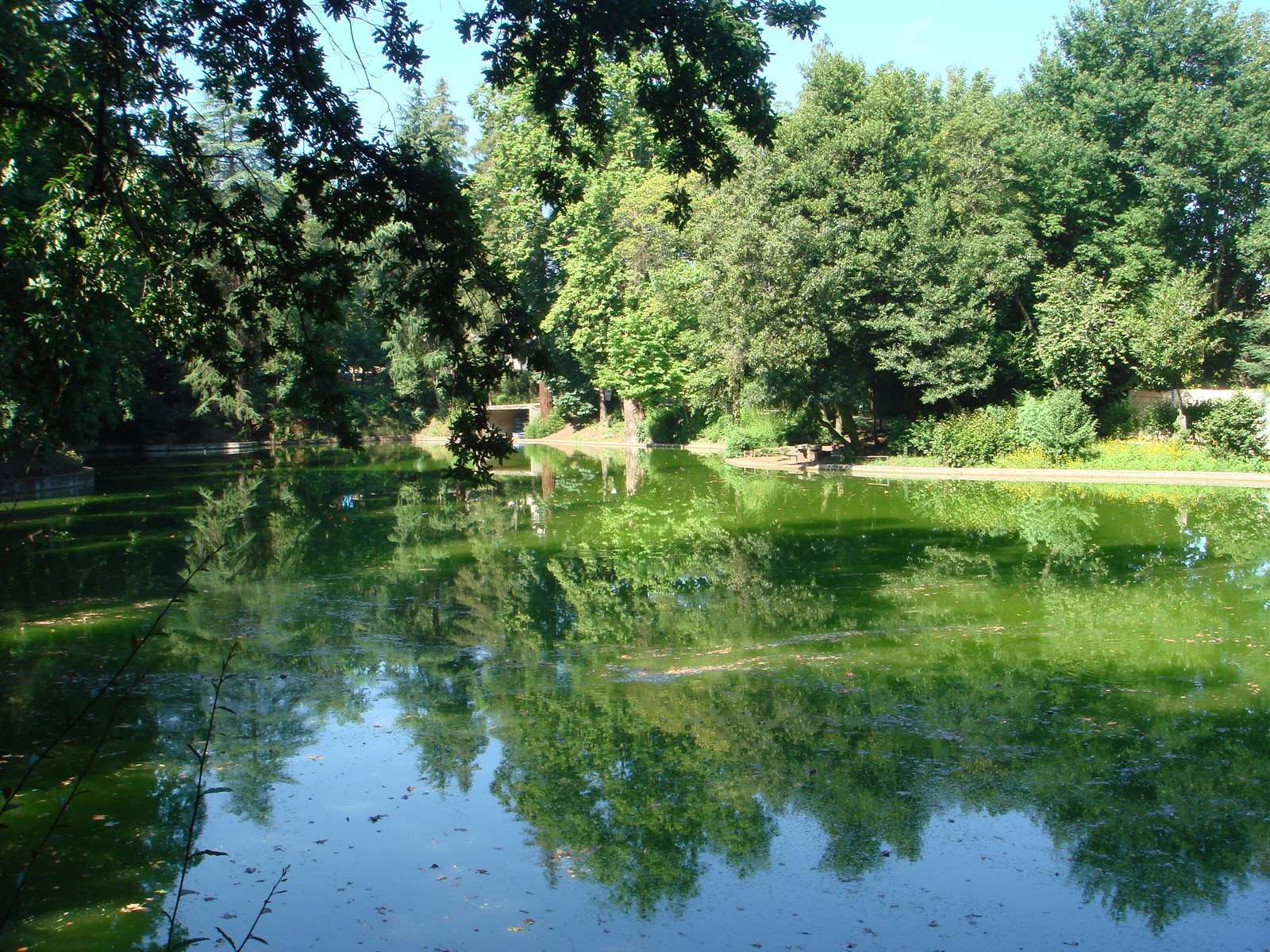 [Parque_da_Ponte_-_Lago.jpg]