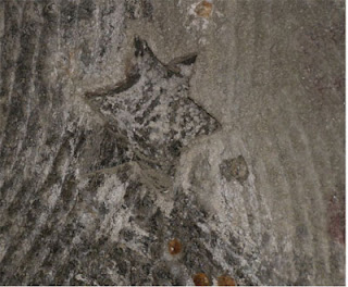 Poland Salt Mine Jewish star
