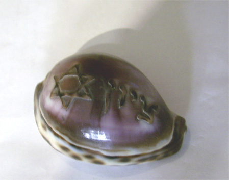 [Trionfo-Seashell-david.jpg]