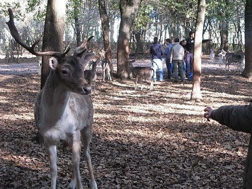 [216.jpg]