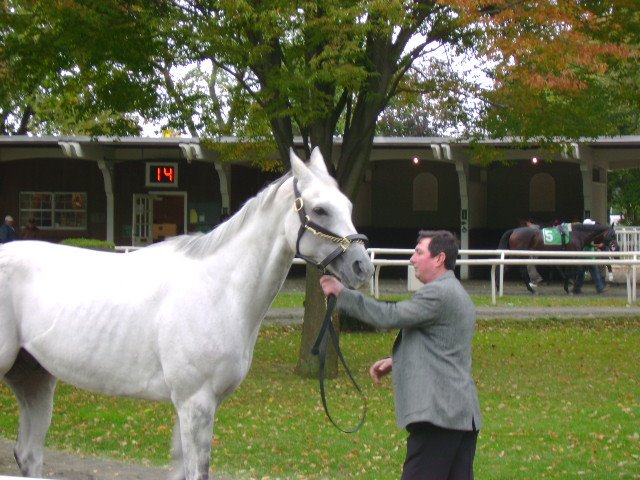 [Copy+of+DSC01603.JPG]