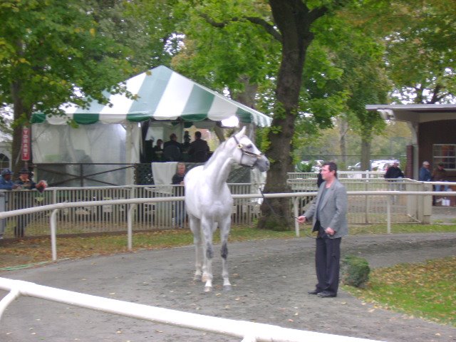 [Copy+of+DSC01601.JPG]