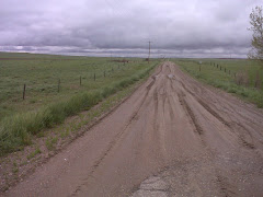 Gumbo Road near Grassy Lake AB