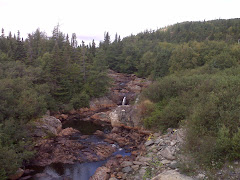 One of the many streams we have seen along the road in Newfoundland.