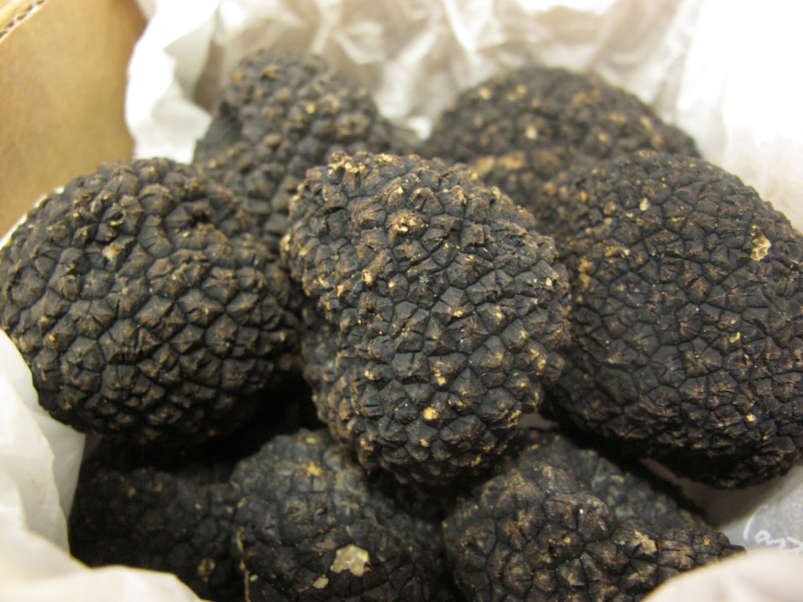 tryffel pris per kg tryffel pris per kg