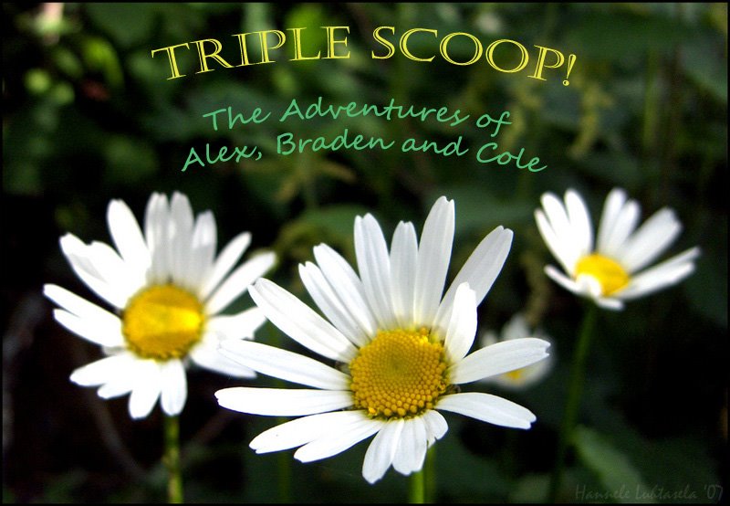 Triple Scoop