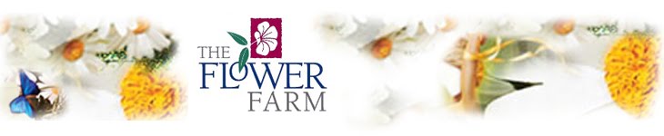 Check Out the Flower Farm's Classes and Events!